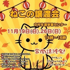 猫の譲渡会　名古屋市中村区