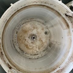 洗濯機の分解クリーニング行っています！配送設置込み 東芝8.0K洗濯機