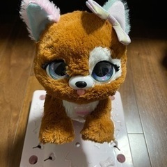 美品‼︎ プレゼント ペット🐶