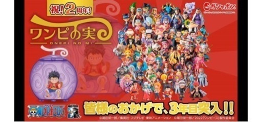 ワンピの実フルコンプリートセット(アニマル以外)
