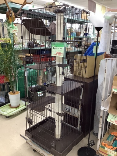 アイリスオーヤマ キャットケージ 3段 使用少々 管D231112CK (ベストバイ 静岡県袋井市)