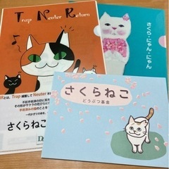 【差し上げます】バラOK 猫 クリアファイル さくらねこ 絵本