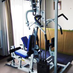 茨城県のホームジムの中古が安い！激安で譲ります・無料で  