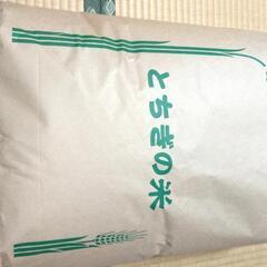 令和５年栃木県佐野市産 とちぎの星 玄米３０キロ  残り2袋