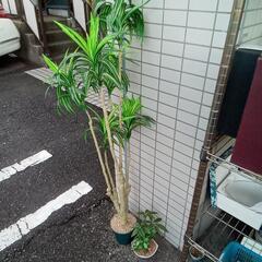 造花の観葉植物　2こ