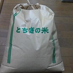 令和５年栃木県佐野市産 お米 玄米 ２０キロ 