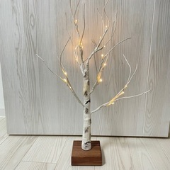 値下げ！クリスマスツリー　シラカバ　白樺　60cm