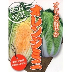 オレンジ色のミニ白菜苗　4株100円