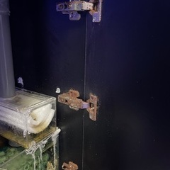 取引相手決定 海水魚 サンゴ 60cmオーバーフロー水槽