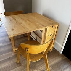 IKEA  NORDEN テーブル + NORDMYRA チェア...