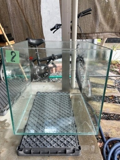 No.2  450キューブ 熱帯魚 水草水槽 アクアリウム ディスカス