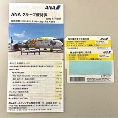 【ネット決済】ANA株主優待券　2枚セット（有効期限：2024....