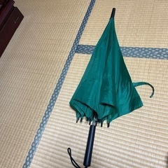 傘　緑［未使用］
