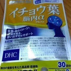 💡期限接近のため大幅値下げ⤵️🉐DHCサプリ　イチョウ葉脳内α