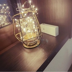 新品 IKEA イルミネーション ライト LED 電池式