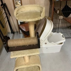 猫タワー猫トイレ