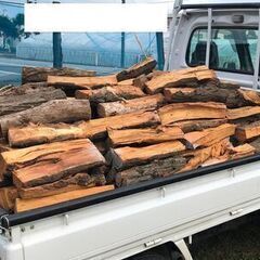 薪ストーブキャンプ広葉樹 薪割済のニセアカシア4-1薪 1棚水分8