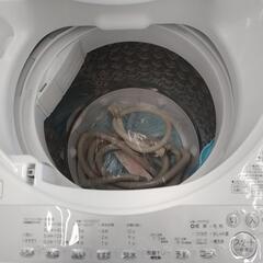 東芝 洗濯機 19年製 7kg                TJ1959