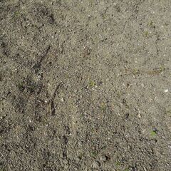 高松 土壌の改良に 「 砂 」単なる砂です 海砂？草・土混じって...