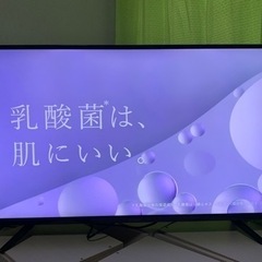 マルゼンTV40インチ（条件合えばお得！）