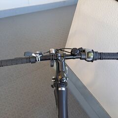 Animato Briggs（アニマート） 2022モデル 24速仕様　手渡し限定