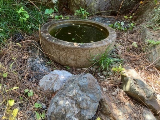 水鉢　　3