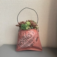 多肉 リメ缶 寄せ植え