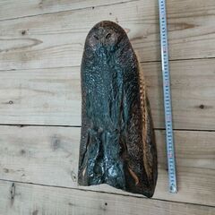ワニの頭の剥製