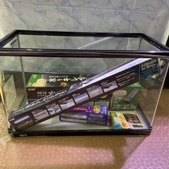 宮城仙台！600×300×400ガラス水槽セット！