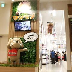 ☆ペットショップワンラブ☆　イオンタウン津城山店　接客・販売スタ...