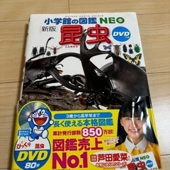 小学館の図鑑NEO 昆虫 DVD付き