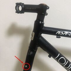 LOUIS GARNEAU ルイガノ LGS-RSR V 2015 アルミフレームセットのみ