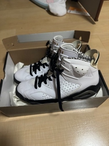 その他 JORDAN AJ6