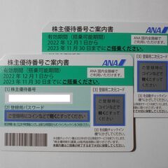 【ネット決済・配送可】ANA株主優待券　2枚組