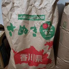 古米　令和4年　ヒノヒカリ　玄米30kg