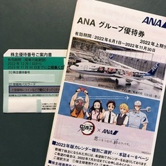 ANA 株主優待券 搭乗券付き(2023.11.30まで)