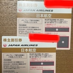 JAL 株主優待券　2枚　2024年11月30日まで