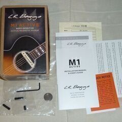 Ibanez Artwoodギター・L.R.BAGGS M-1 Active・ローランドアンプ 