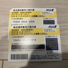 【ネット決済・配送可】ANA優待チケット　最新　2023.12....
