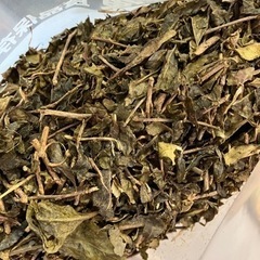 番茶🍵茎茶