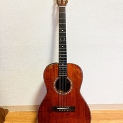 Takamine / PT-406  専用ハードケース付き