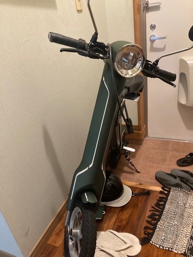その他 BLAZE SMART EV