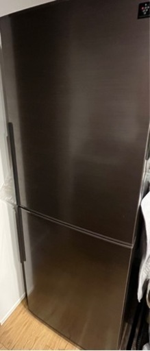 冷蔵庫 SHARP 2019年製 280L