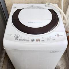 ✨毛布もしっかり洗えます✨SHARP 全自動洗濯機 7.0kg🌿...