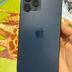 iPhone 12 promax 512GB SIMフリー