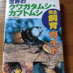 世界のクワガタ、カブトムシ飼育記録②