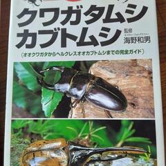 世界のクワガタ、カブトムシ飼育記録③