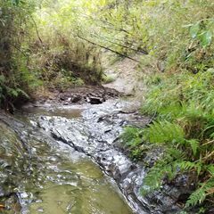 ★★　キャンプ向け土地　小川あり！　★★