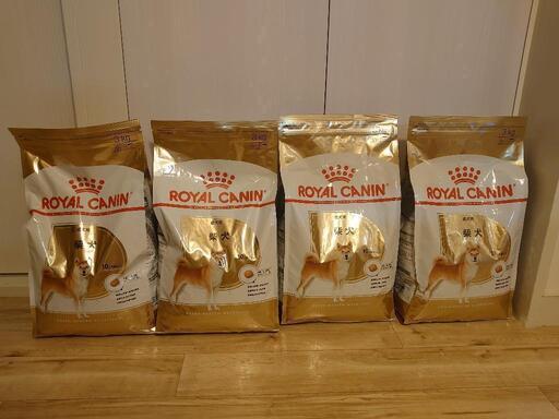 【まとめ売り】ロイヤルカナン 柴犬成犬用3kg