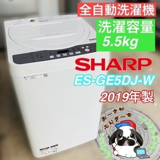 SHARP シャープ 5.5kg 全自動洗濯機 ES-GE5DJ-W 動作品◇2019年製/YMJ113-51